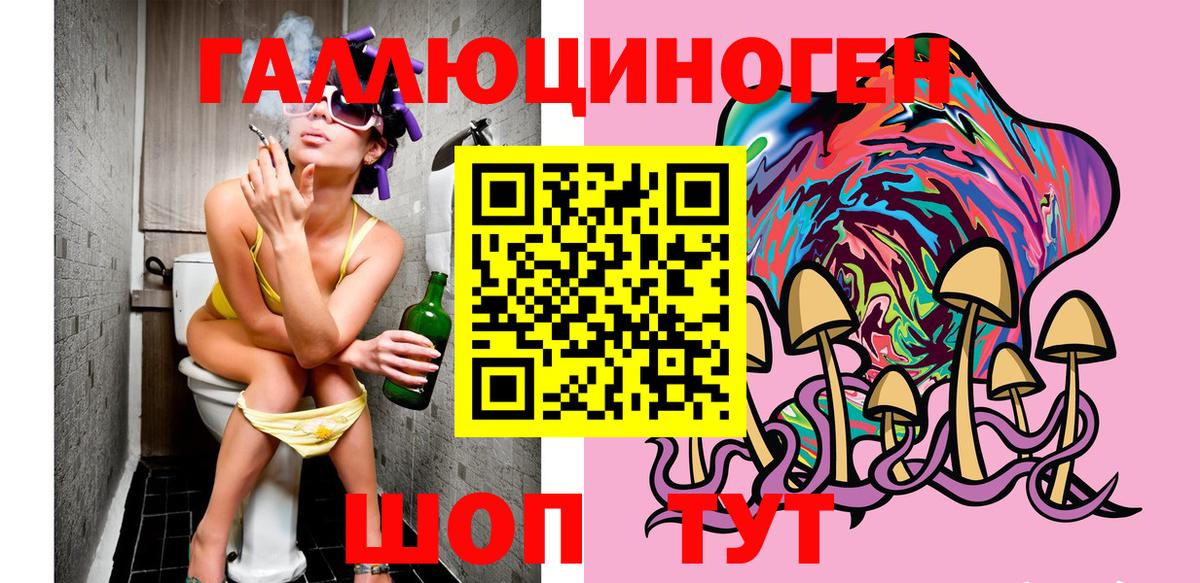 Псилоцибиновые грибы Psilocybe Камышин