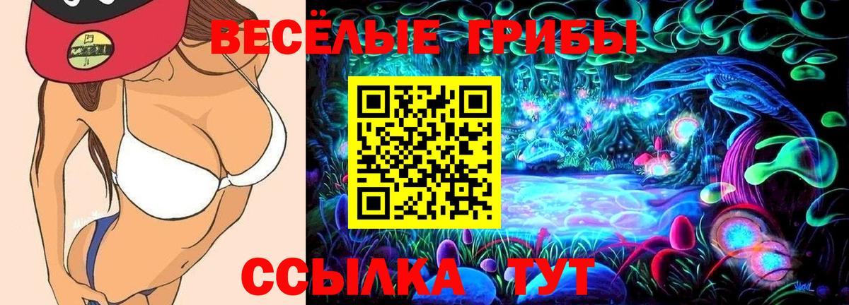 Псилоцибиновые грибы ЛСД  Галлюциногенные грибы MAGIC MUSHROOMS  Вход с VPN  Камышин 