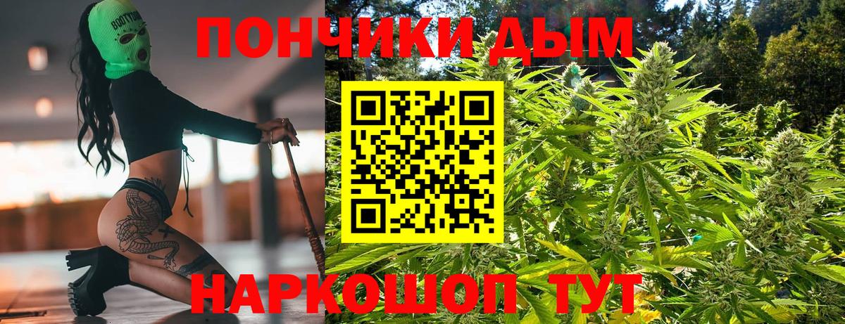 Бошки марихуана сатива Камышин